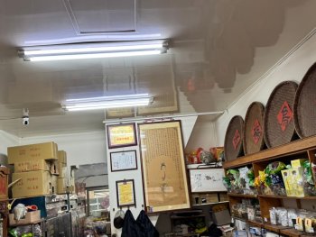 1140215 藝術與在地風情‧南投一日深度之旅